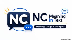 NC Meaning in Text