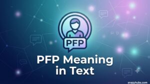 PFP Meaning in Text