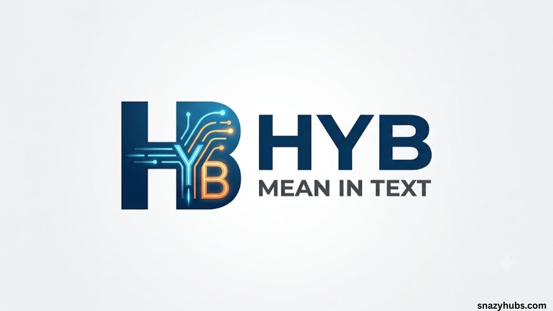 HYB Mean in Text