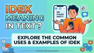 IDEK Meaning in Text