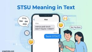 STSU Meaning in Text