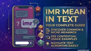 IMR Mean in Text