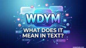 WDYM Meaning in Text